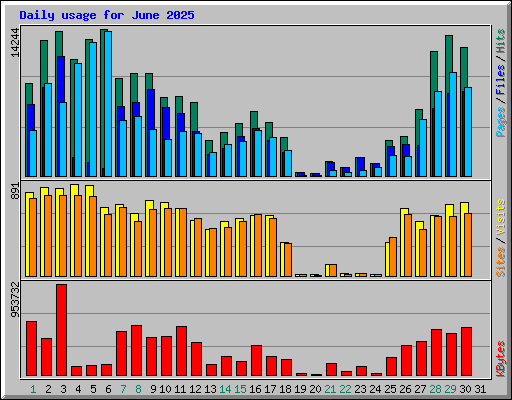 Daily usage for June 2025