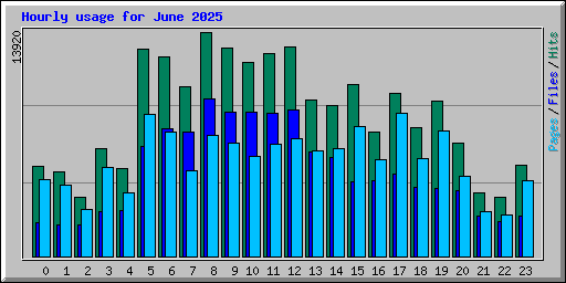 Hourly usage for June 2025