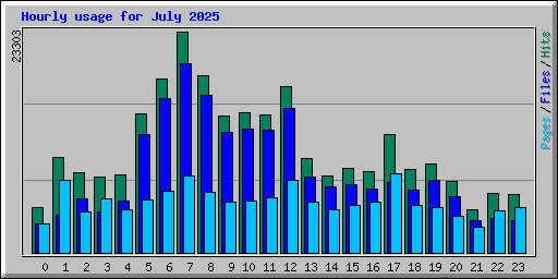 Hourly usage for July 2025