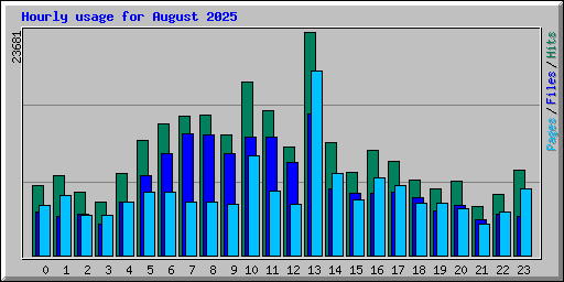 Hourly usage for August 2025